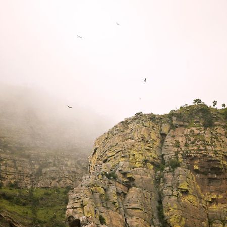 Cape Vulture Conservancy Hoedspruit Esterno foto