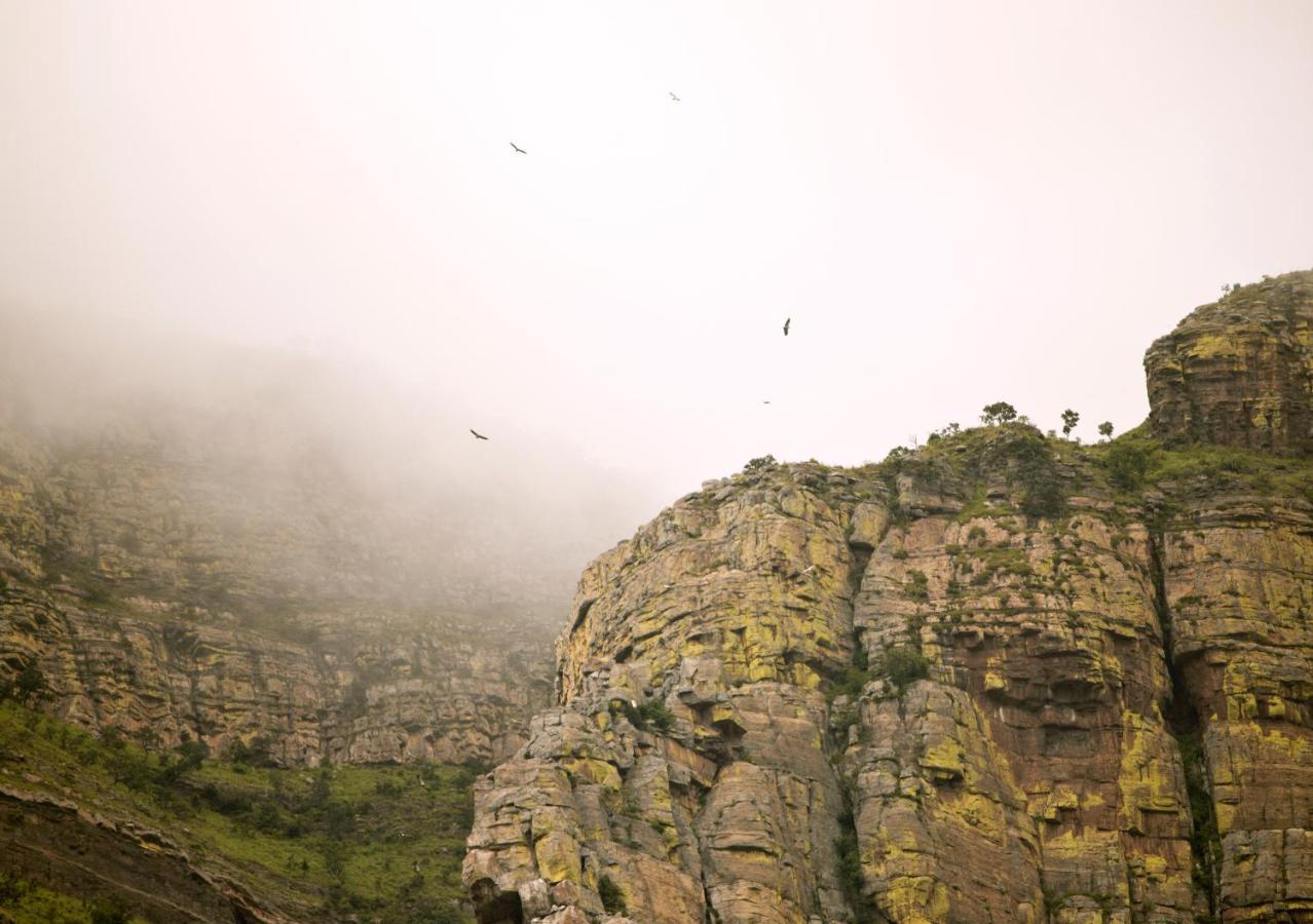 Cape Vulture Conservancy Hoedspruit Esterno foto