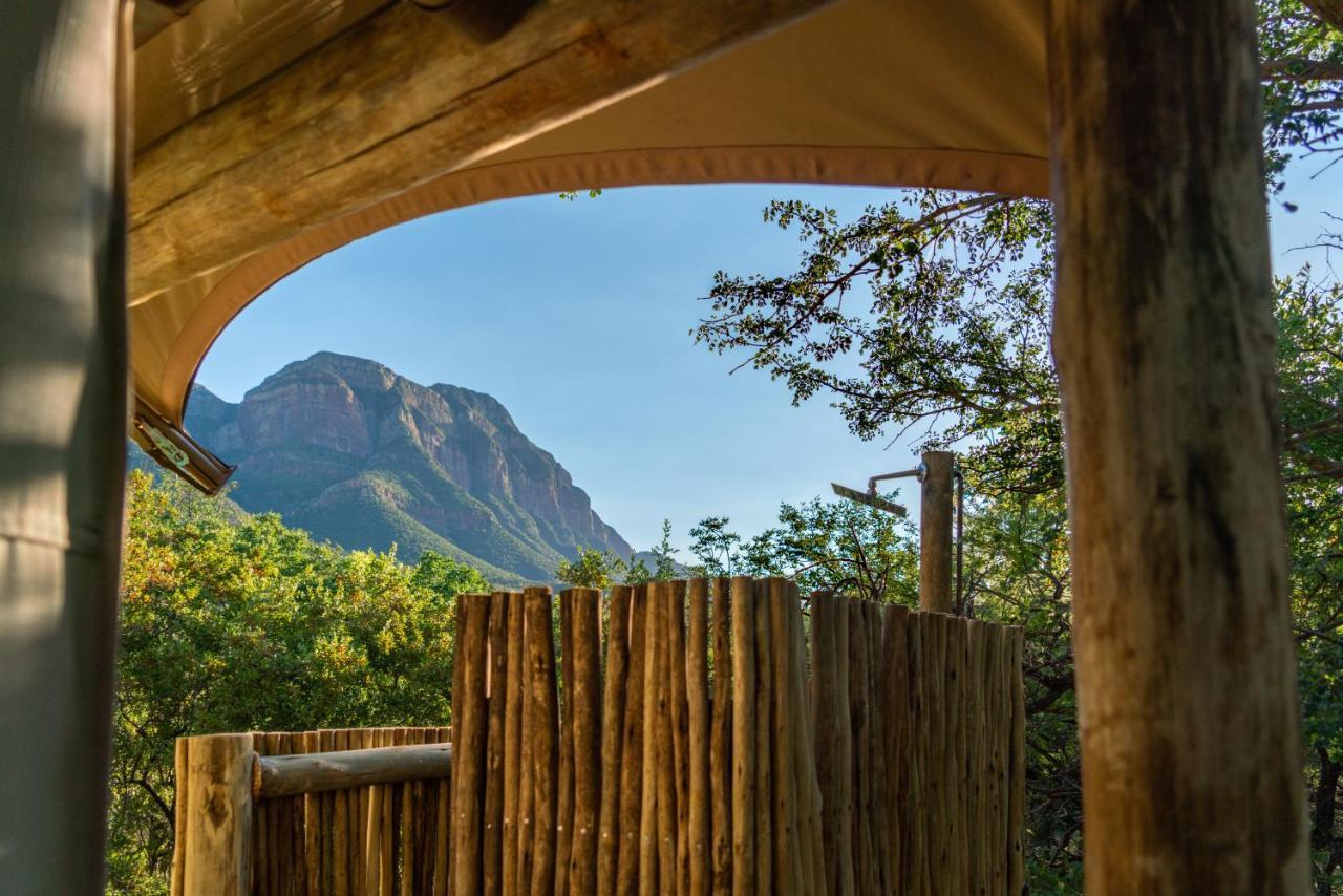 Cape Vulture Conservancy Hoedspruit Esterno foto